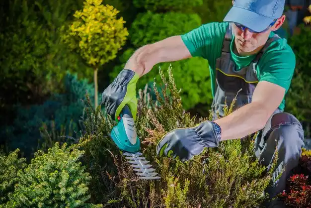 landscaping services Morrow
